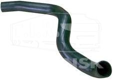 BK2958621SP, RADIATOR LOWER HOSE — Bergkraft