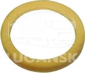BK2929721SP, SEALING — Bergkraft