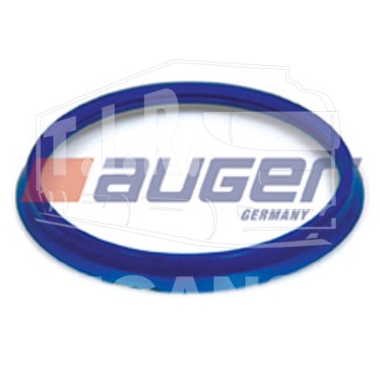 AUG55243, Seal Ring — Auger