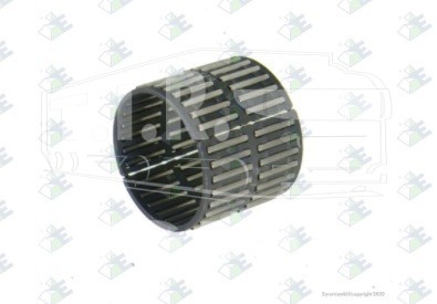 98531234, Подшипник КПП43*48*39,5 — Euroricambi