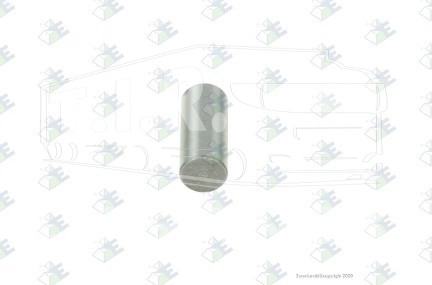 95536134, Палець КПП — Euroricambi