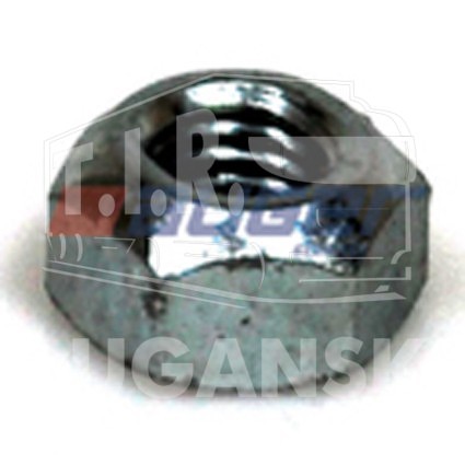 AUG55291, Nut — Auger