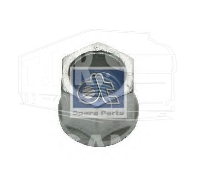 1.25433, Гайка М22*2.5 стремянки — Diesel Technic