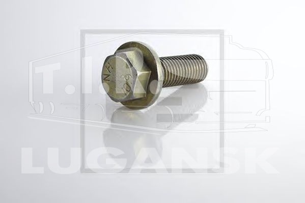 106.151-00A, Болт крепления суппорта М18*2*55 — Peters