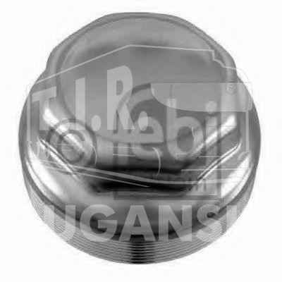 05949, Колпак ступицы М155*3 — Febi