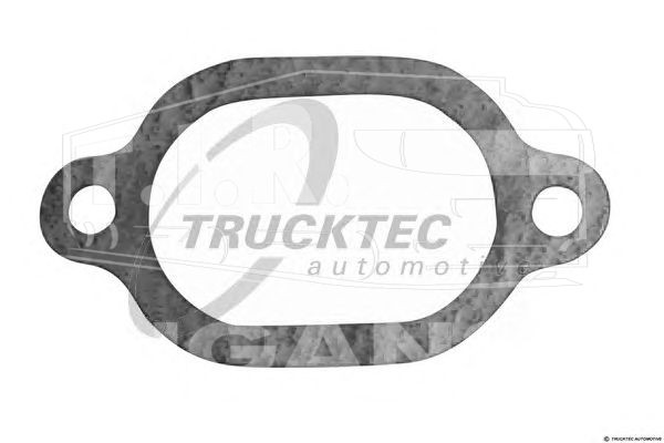 01.19.038, Прокладка помпы — Trucktec