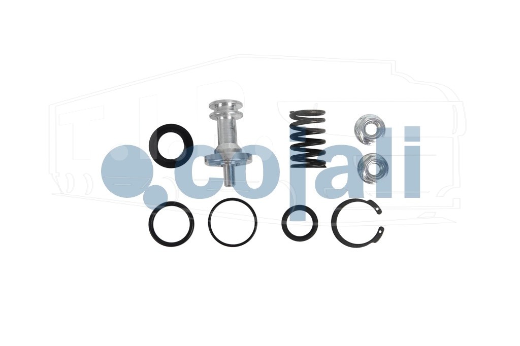 6014240, Р-к влагоотделителя (грибок) — Cojali