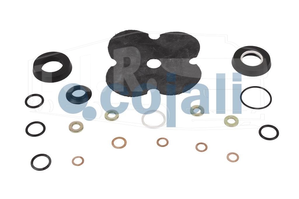 6014226, Р-к 4-контурного защитного клапана — Cojali
