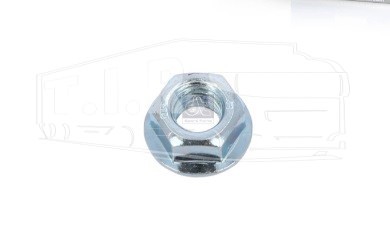 2.12120, Гайка М8*1.25 топливного насоса — Diesel Technic
