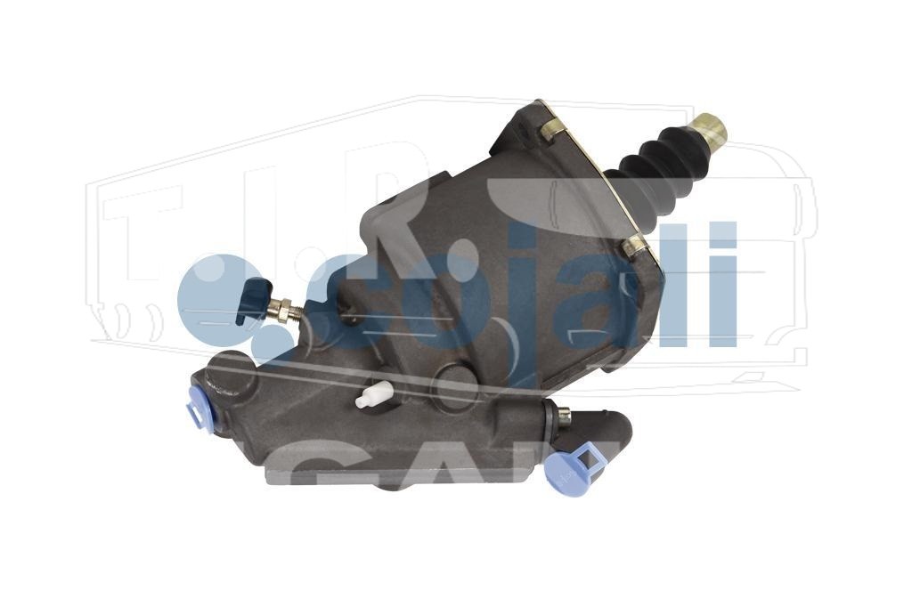 805524, ПГУ — Cojali