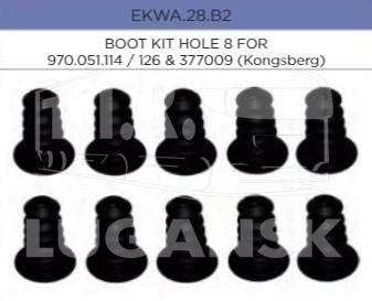 EKWA.28.B2, Пыльник ПГУ — EBS