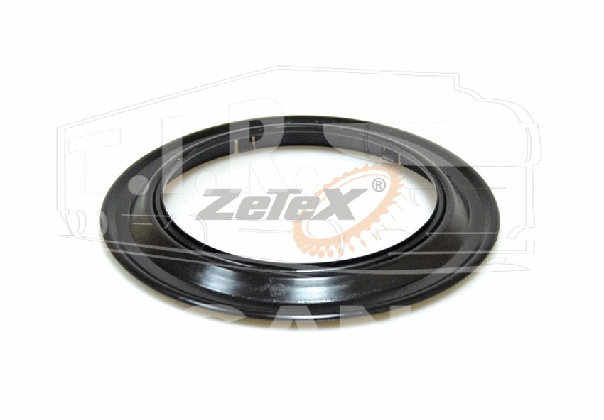 ZX01.0218, DUST COVER,WHEEL HUB — ZeTeX