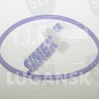 CLT-066, SEALING RING — SLP