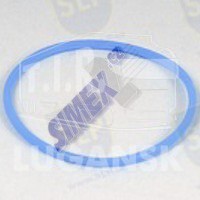 EPL-2781, SEAL RING — SLP