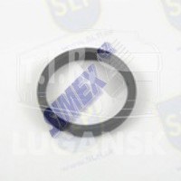 EPL-566, SEALING RING — SLP