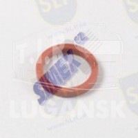 EPL-896, SEAL RING FOR INS-609 — SLP
