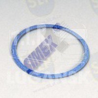 EPL-907, GASKET FREEZE PLUG — SLP