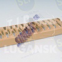 FST-024, FOOTSTEP — SLP