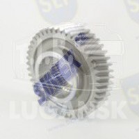 GBG-817, GEAR — SLP