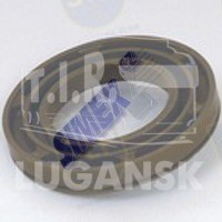 GPI-070, PLUNGER — SLP