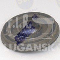 GPI-073, PLUNGER — SLP