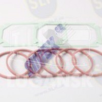 MGS-956, MANIFOLD GASKET SET — SLP