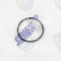 OR-12022, O-RING — SLP