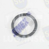 OR-12029, O-RING — SLP