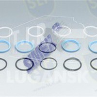 RK-4196, REPAIR KIT — SLP