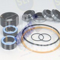 RK-491, SEAL KIT — SLP