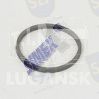 RS-097, SEALING RING — SLP
