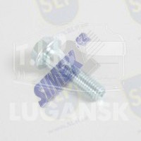 FLANGE SCREW