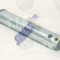 TA-216, PIN — SLP